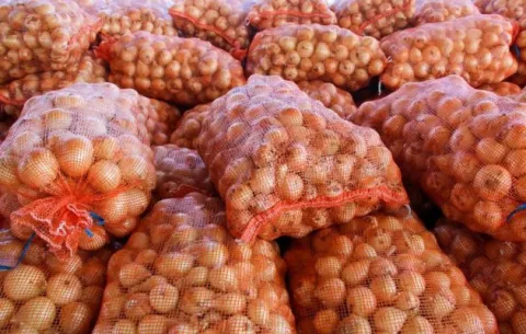 Aprueban la importación de 80 mil quintales de cebolla 