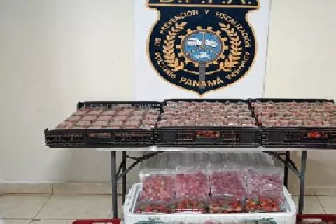 Decomisan fresas y cigarrillos en puesto de Hornito, Gualaca