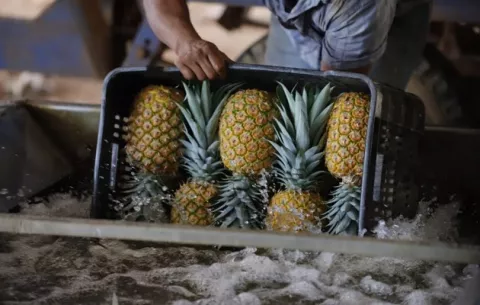 Exportaciones sin cobre crecieron en el primer semestre