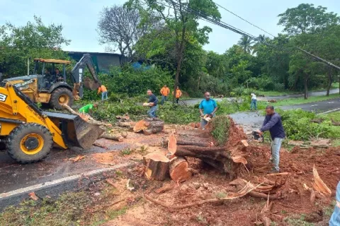 Fuertes vientos causan algunos estragos y pánico en Azuero