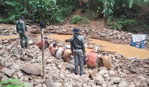 Minería ilegal y tala, en las redes del crimen organizado