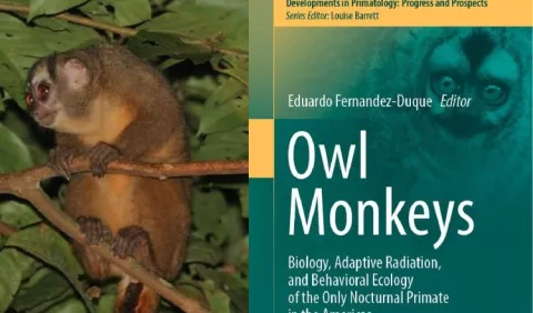 Investigación sobre el mono búho se fortalece