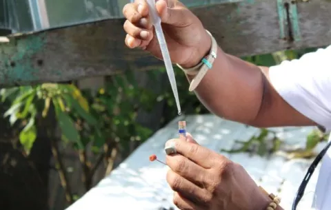 Panamá acumula 5,443 casos de dengue en todo el país