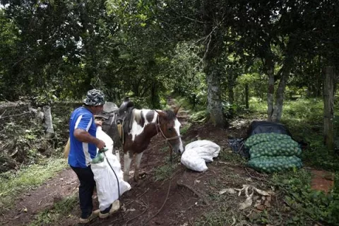 Impulsar la agricultura familiar para una buena alimentación