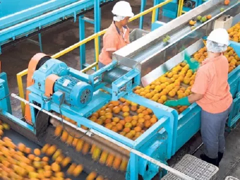 Exportaciones de agroindustria aumentan 19% en este año
