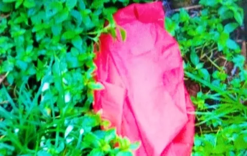 Abandonan en una bolsa a bebé en Pacora