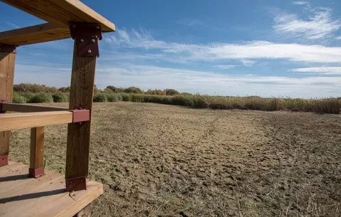 ONU alerta del calor insoportable y agotamiento del agua