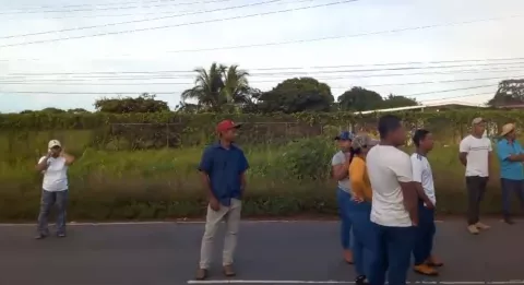 Cebolleros en Natá exigen pagos adeudados