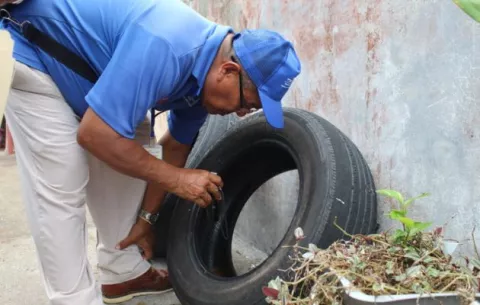 Panamá acumula más de 9,000 casos de dengue y 6 defunciones