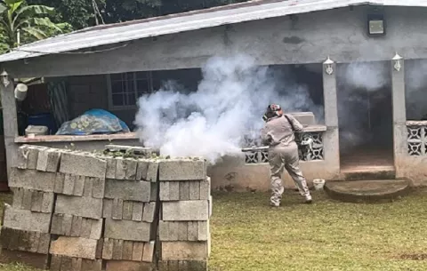 Alarmante los casos de dengue clásico en Chiriquí y Colón