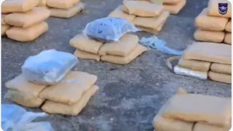 Incauta 1,358 paquetes de droga, 550 con destino Europa
