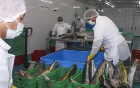 MICI: Panamá recupera cifras récord de exportaciones