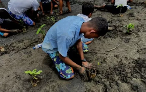 Erosión amenaza a Isla Cañas, la más grande de Los Santos