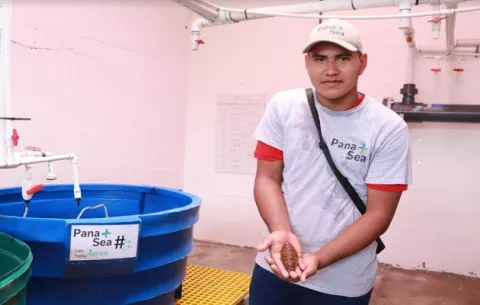 Antúnez, el estudiante que ayuda a proteger el pepino de mar
