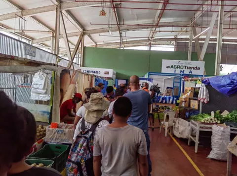 Muere adulto mayor en mercado público de la Cadena de Frío