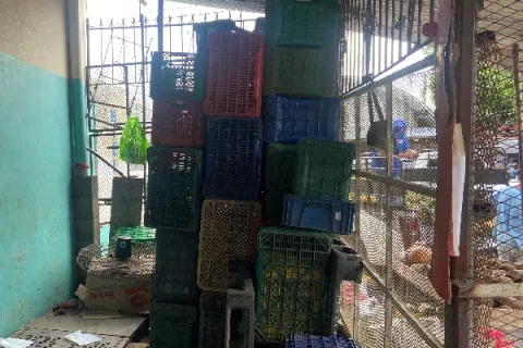 Escasez de productos agrícolas en mercados de La Chorrera