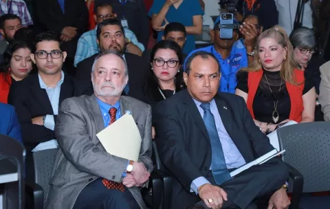 ¿Por qué el TE pide no usar el  término referéndum? 