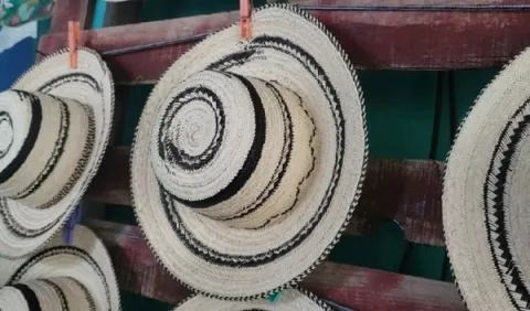 Sombrero Pinta'o, terminología de los artesanos