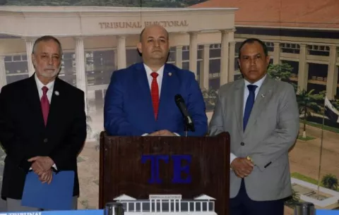 TE: No hay condiciones para organizar la pretendida consulta