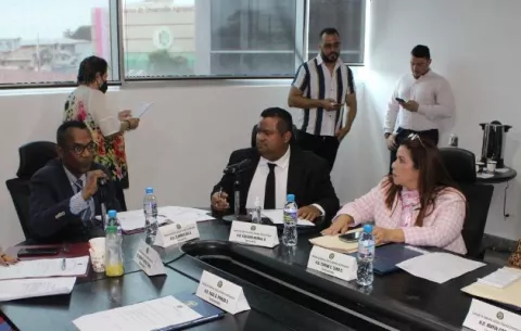 Prohíjan anteproyecto de ley contra la violencia vicaria
