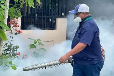 Azuero y Colón afianzan las estrategias contra el dengue