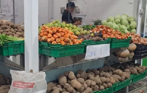 ¡Regocijo! Llegan verduras frescas y arroz al Merca Chitré