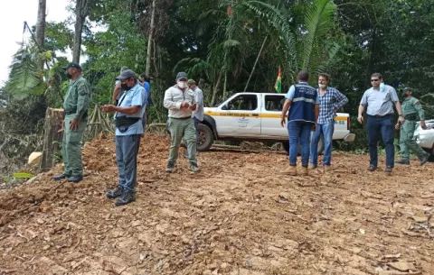 Delitos ambientales suben 11% en Panamá