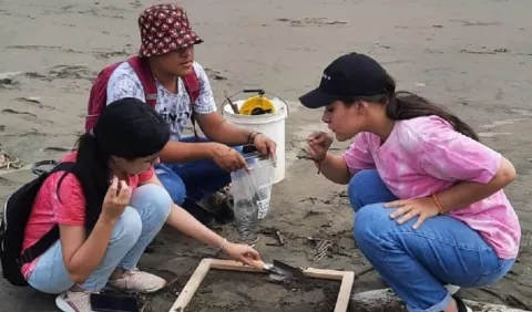 Microplásticos aumentan en playas de Las Tablas