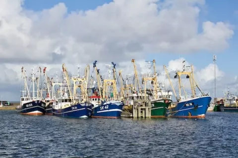 Pesca de arrastre motiva debate tras permitirse en el país 