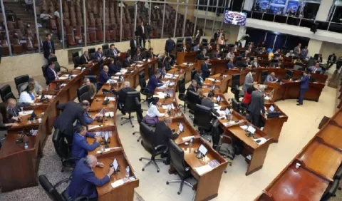 Presupuesto debe estar libre de gastos políticos