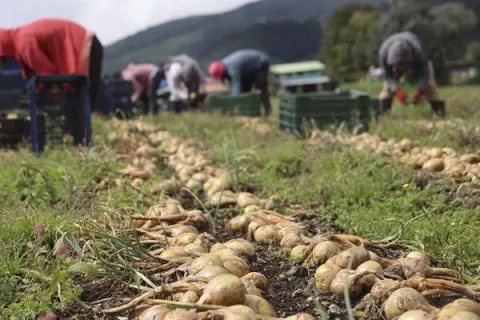 Agricultores lo pierden todo en medio de la crisis minera
