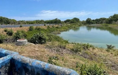 Pedasí se queda sin agua, lo que causa pérdidas económicas