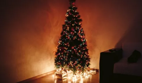 Árbol de Navidad: ¿Cuál es su significado?