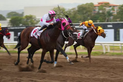 Blessed Ben Hur con Luis Sáez, corona en Clásico del Caribe