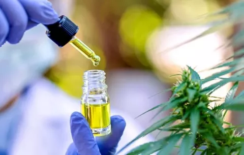 Cannabis: Pacientes que necesitan terapias piden celeridad