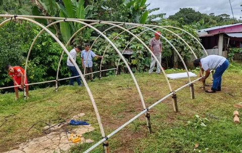 Usan secadores solares en las fincas cafetaleras de Capira