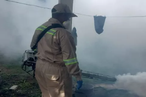 Seis muertes en Colón y unos mil casos de dengue en Chiriquí