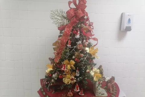 Lanzan recomendaciones para evitar incendios en Navidad