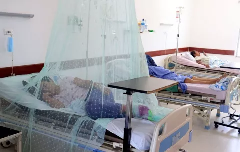 OMS eleva a alto el riesgo de expansión global del dengue 