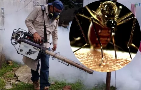 Panamá frente a una epidemia de dengue que suma 10 muertes