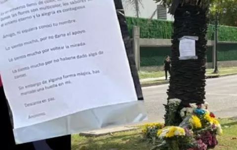 Conductora que atropelló a florista niega intento de fuga