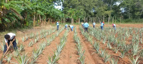 Apuestan por los huertos escolares en Coclé