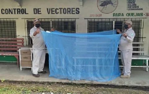 Recurren a mosquiteros para evitar la malaria en Barú