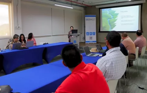 Presentan proyecto pionero para salvaguardar los manglares