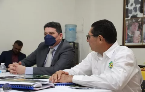 Prevén escasez de algunos alimentos para febrero 