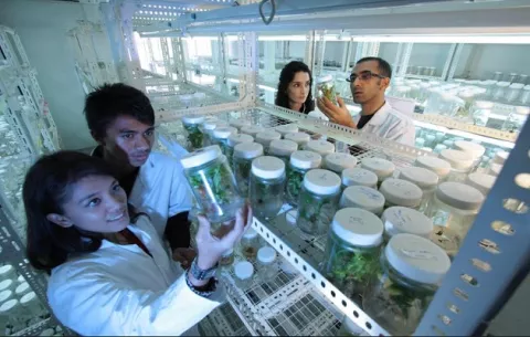 Avanza proyecto que hará la ciencia más inclusiva en la zona