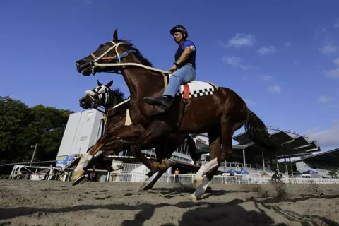 Serie Hípica del Caribe, ejemplares listos para correr 