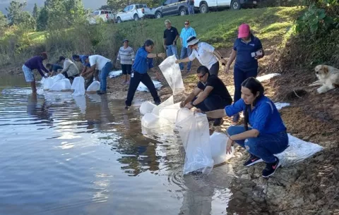 Siembran más de 15 mil tilapias en La Yeguada en Veraguas