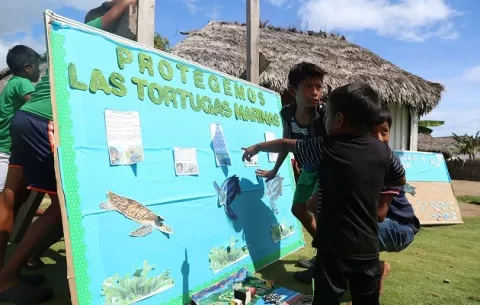 Unesco reconoce Festival de las tortugas marinas de Armila 