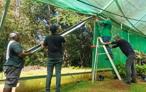 Acondicionan vivero de Huile en Arraiján 
